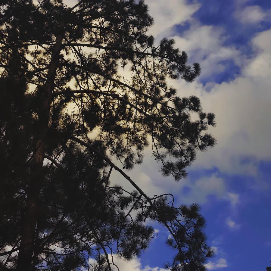 Breathe Inn Kasol Bagian luar foto