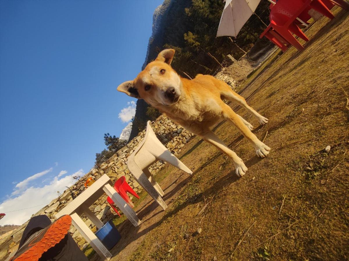 Breathe Inn Kasol Bagian luar foto